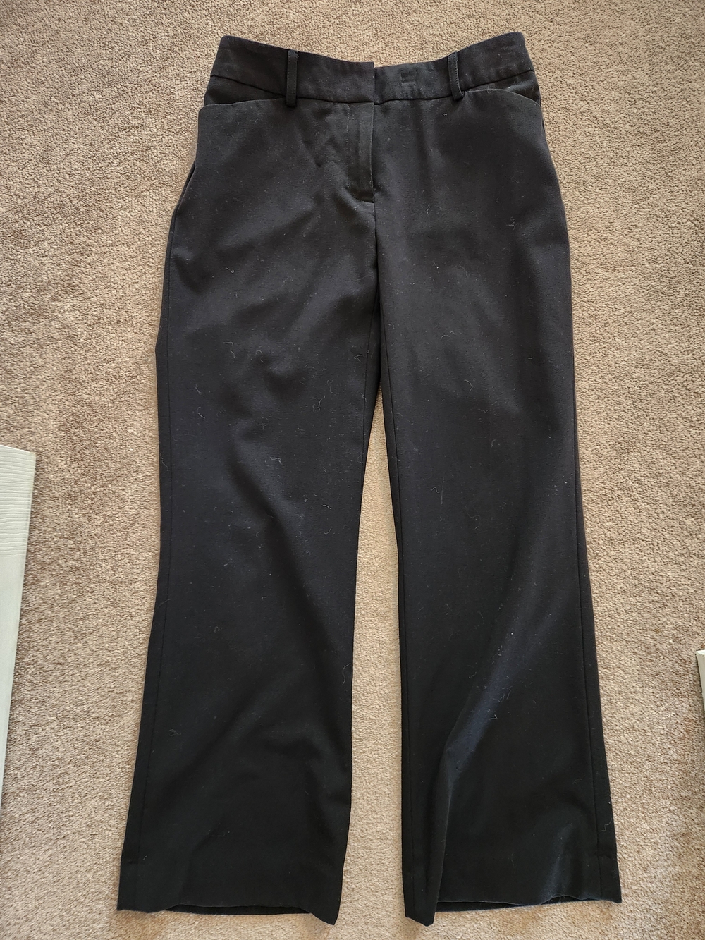 Apostrophe Black Wide-Leg Dress Pants